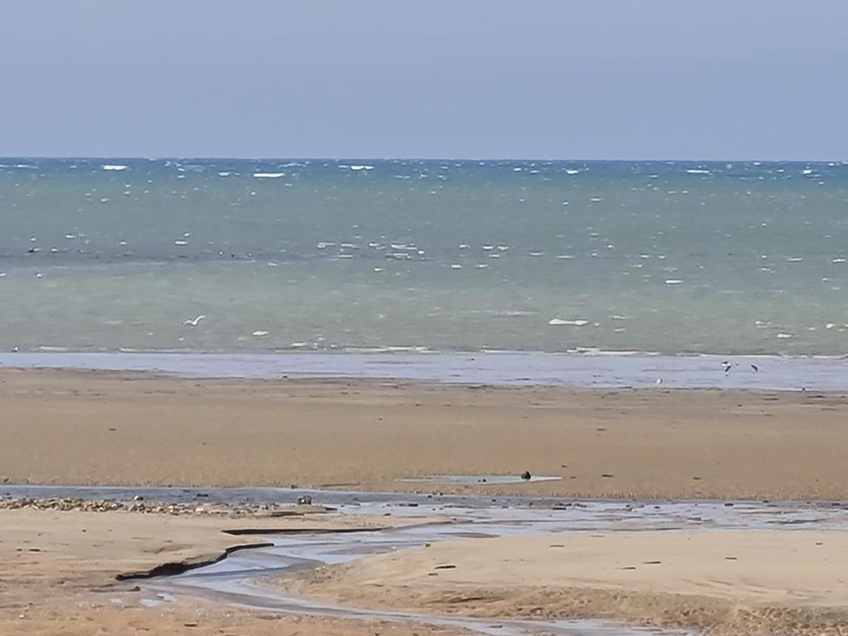 Les Pieds Dans L'Eau - Acces Direct A La Plage Bernières-sur-Mer Екстериор снимка
