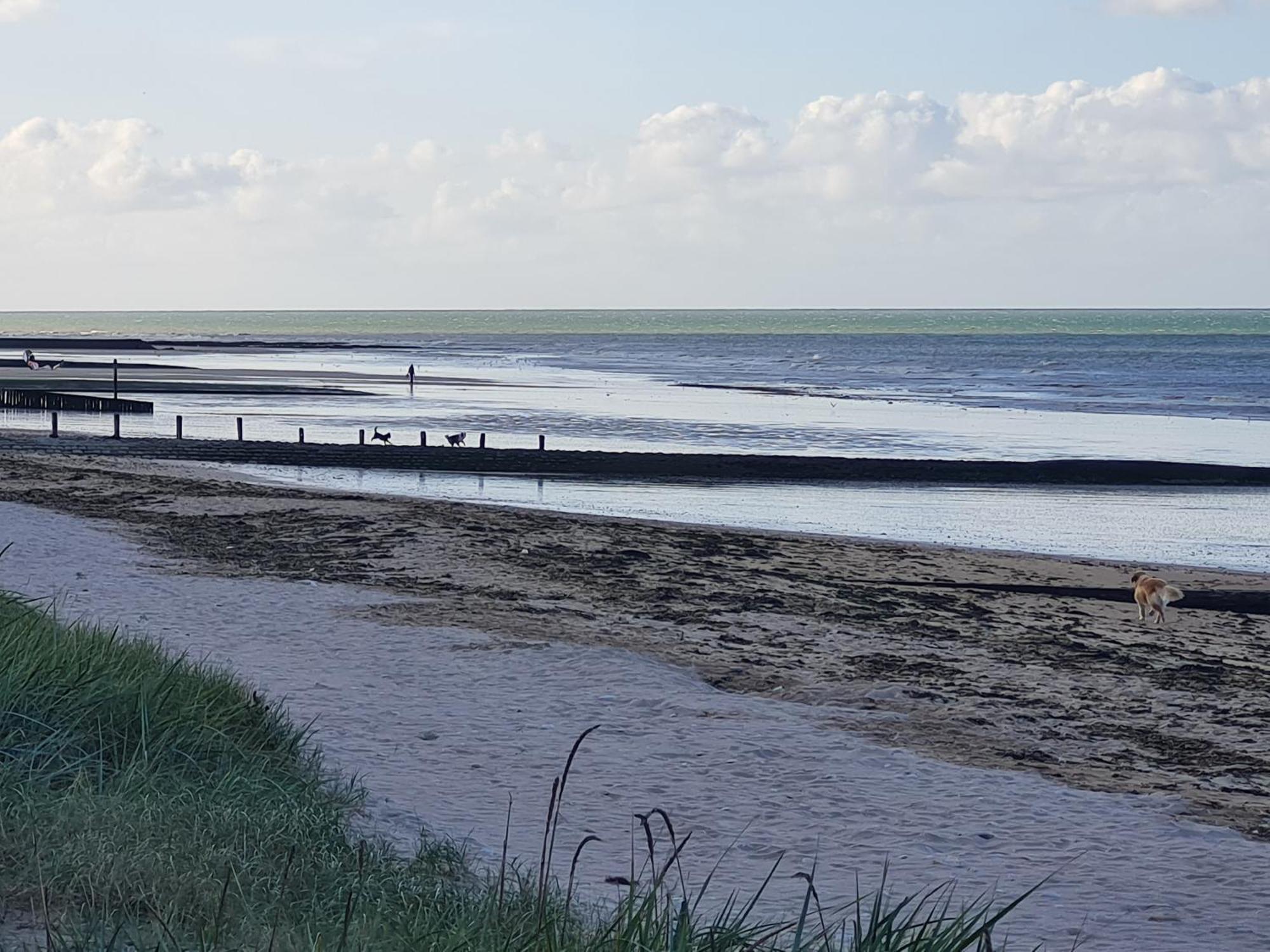 Les Pieds Dans L'Eau - Acces Direct A La Plage Bernières-sur-Mer Екстериор снимка